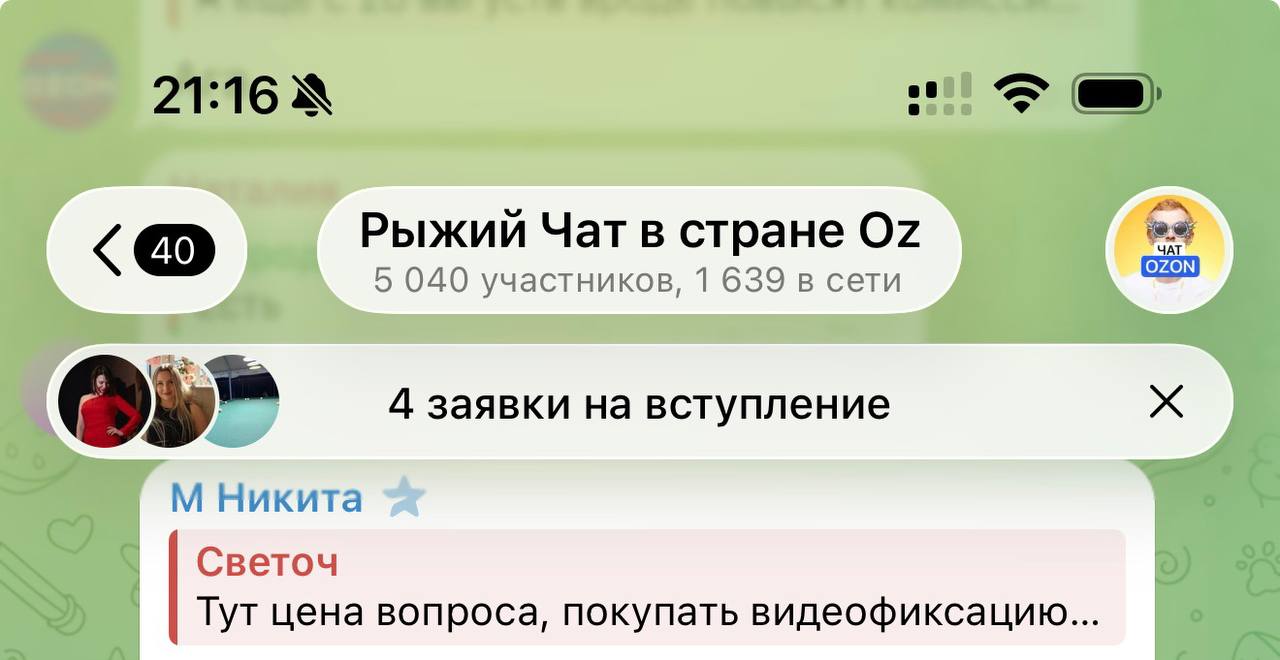 Селлеры Ozon создали крупный чат за 11 часов: что это значит