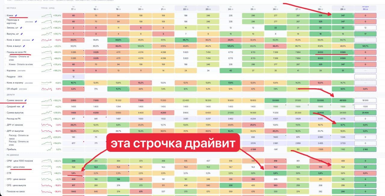 Как я поднял выручку на Ozon в 17 раз за 12 дней