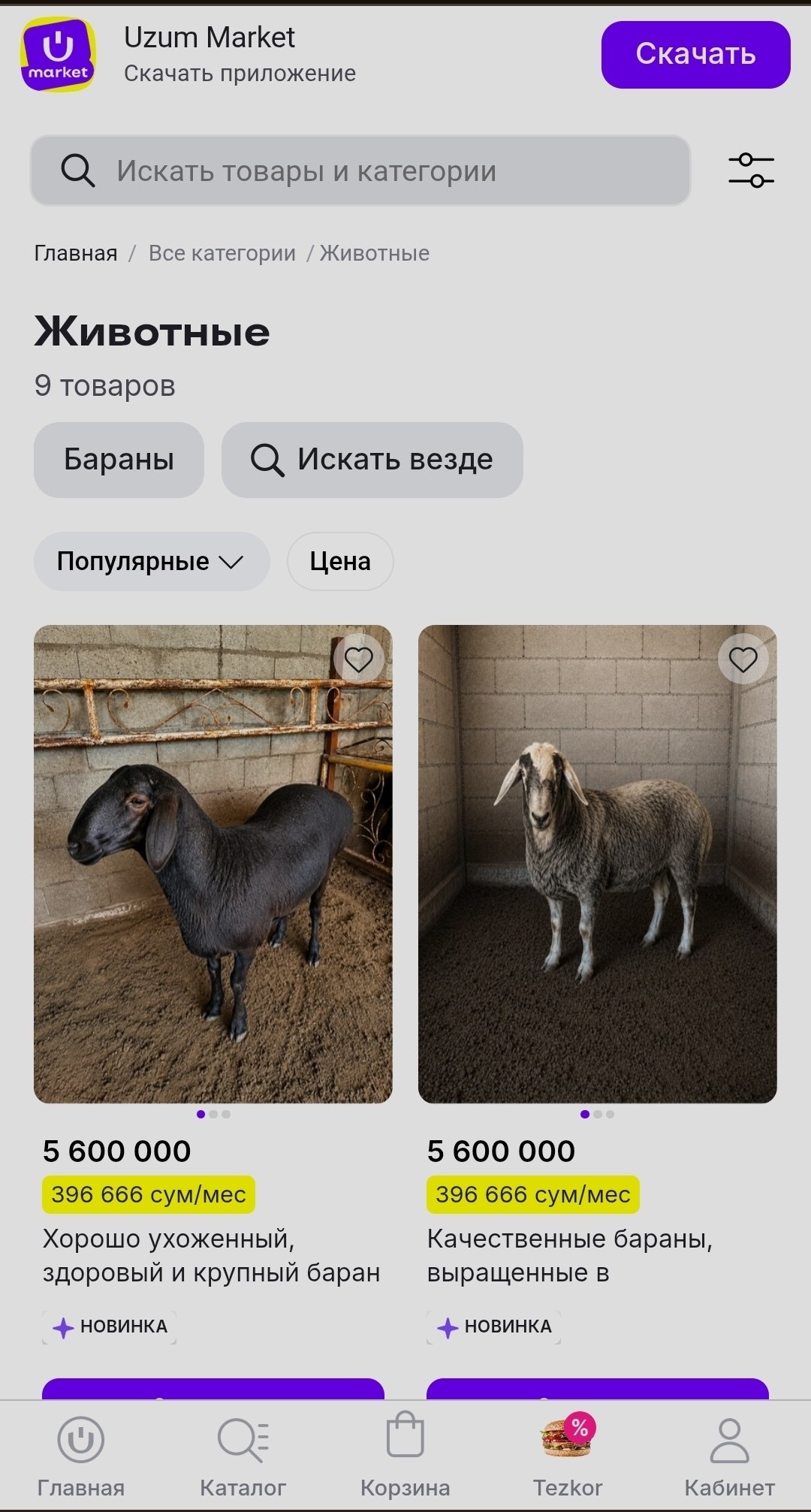 Ozon не штрафует за нелокальные отгрузки: как сэкономить