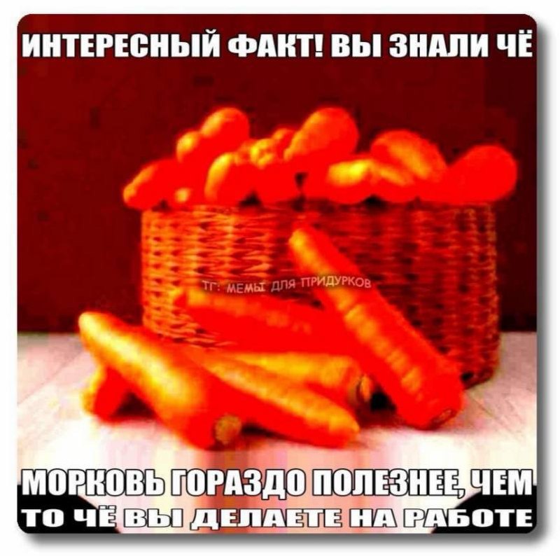 Переход с ФБО на ФБС: 30% штата и другие сложности